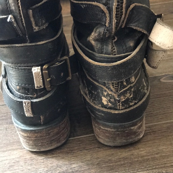 Freebird by Steven Drove - Picture 5 of 6